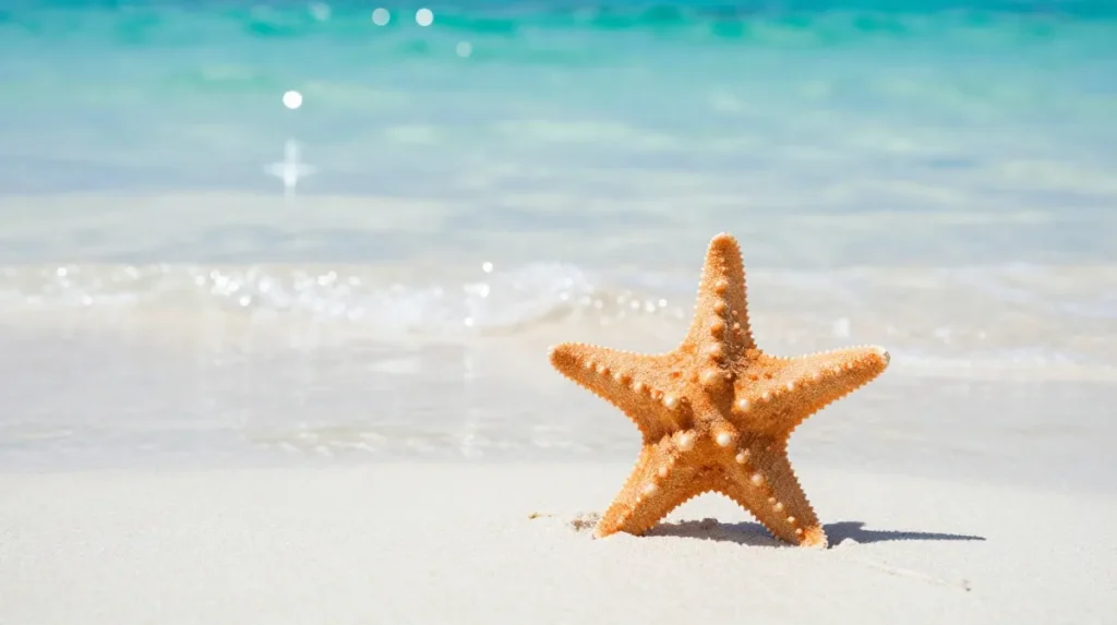 Starfish jokes